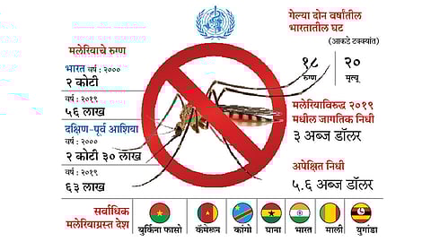 malaria