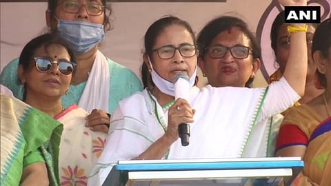 mamta banerjee