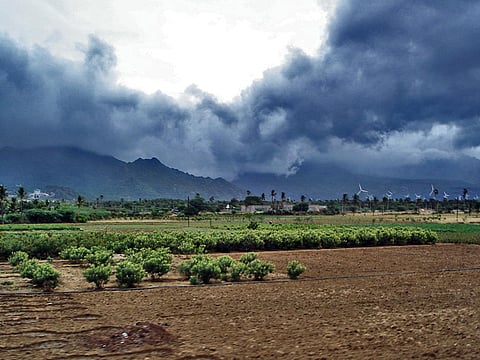 Monsoon favors Vidarbha this year too, Meteorological Department forecast correct