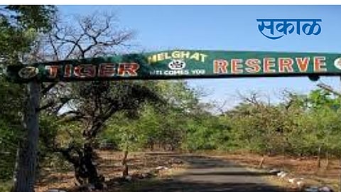 villages waiting for rehabilitation in melghat tiger reserve amravati