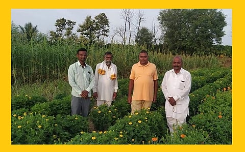 Akola News success story Gold grown on Malrana by adding modern technology