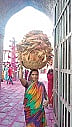 When is Small Business from Coconut Sheds?