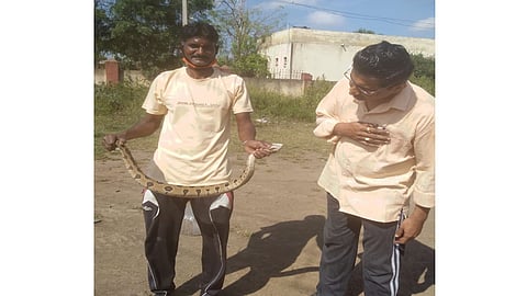 khatav