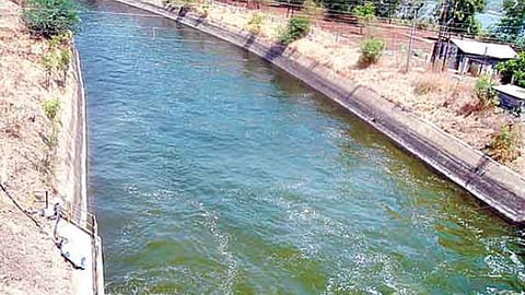nira-canal file pic