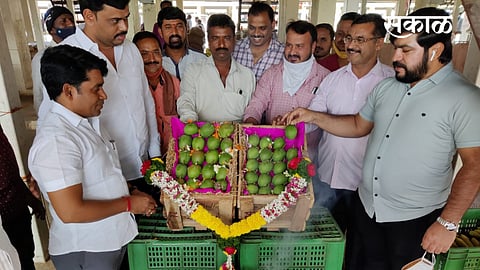 मोशी उपबाजारात हापूसचे आगमण 