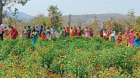 group farming of bachat gat women in konkan useful for economic conditions in ratnagiri