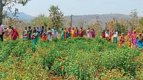 group farming of bachat gat women in konkan useful for economic conditions in ratnagiri