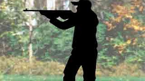 Forest Fires For Hunting In Chandgad Taluka Kolhapur Marathi News