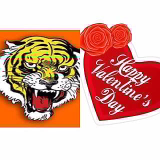  Shiv Sena Tigers fall in love with Valentine