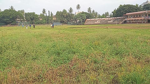 Knee-high grass at Chhatrapati Shivaji Stadium