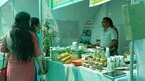 Silaflava says profit is profitable