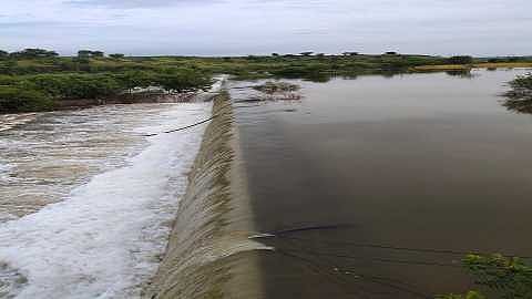Dams in Barshi taluka loss of crores of lakes Two and a half crore will be required for repairs