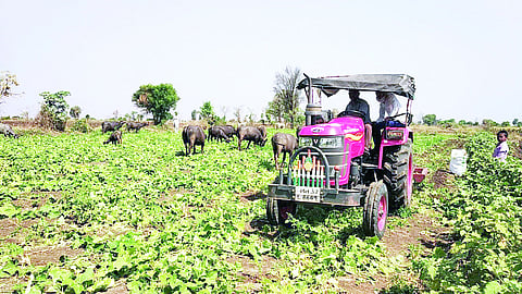tractor in the fild.jpeg