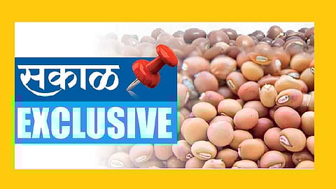 Akola News: Record increase in toor price this year