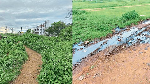 What exactly is the boundary of Shivaji University 