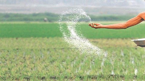 urea-import.jpg