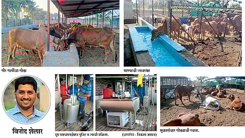 जिद्दीतून उभा केला गीर दूध व्यवसाय