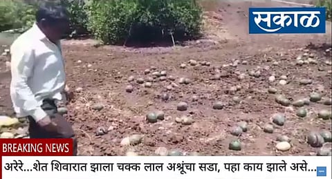 washim there was a lot of red tears in the field, look what happened in akola ...