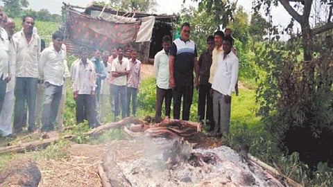 young farmer suicide sindkhedraja