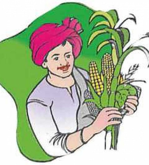 3Farmer_20_0.jpg