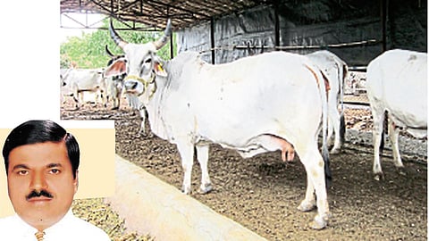 गोइंधनातच दडलंय गोवंदन