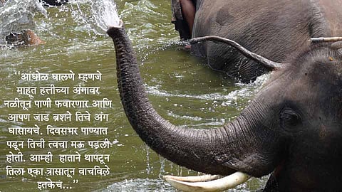 Marathi article citizen journalism Marathi Muktapeeth article Deepak Satarkar