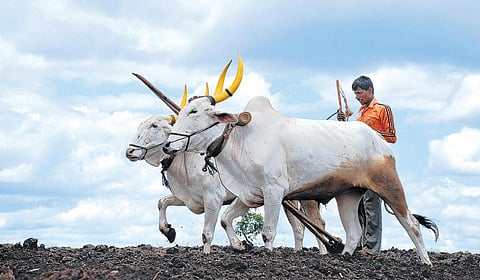 शेतकऱ्यांसाठी सेवानिवृत्त अधिकाऱ्याची तळमळ 