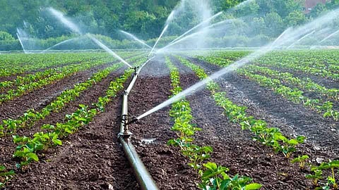 Irrigation