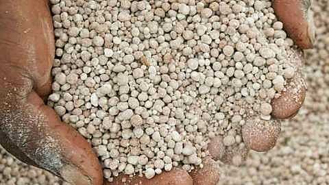 Maharashtra government approves supply of 40 lakh metric tonnes of fertilizer