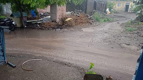 Farmers in Solapur district have been relieved by the rains