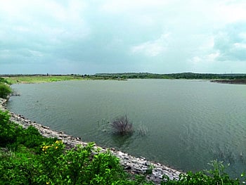 चांगल्‍या पावसामुळे जामखेली, कनोली, मुकटी प्रकल्प तुडुंब 