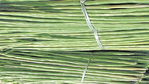 Annapaanvidhi Shakvarga