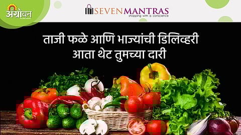 buy online vegetables and fruits from sevenmantras website