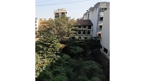 चिंचवड : क्रांतिवीर चापेकर संग्रहालयाच्या आठवणीसाठी नगरसेविकेची 'गांधीगिरी' 