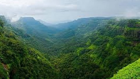 high court Order to state the matter with the Union Ministry of Environment