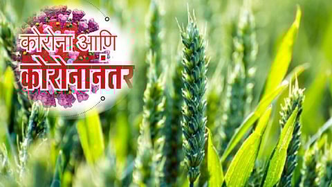 शेतमाल विपणनाच्या पारंपारीक पद्धती बदलण्याची हिच योग्य वेळ  