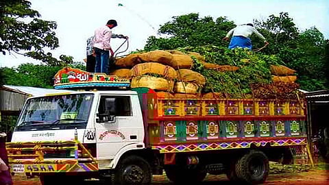 Grants for interstate agricultural transport; Marketing Board's new plan