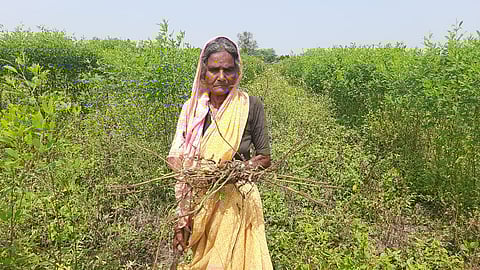 Elderly widow needs help from government