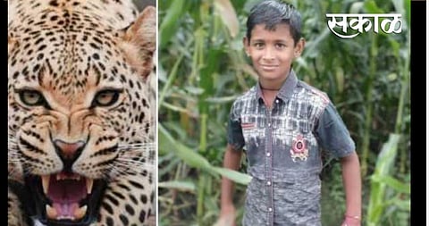 bibtya. Waluj Aniket Kharat kiling case