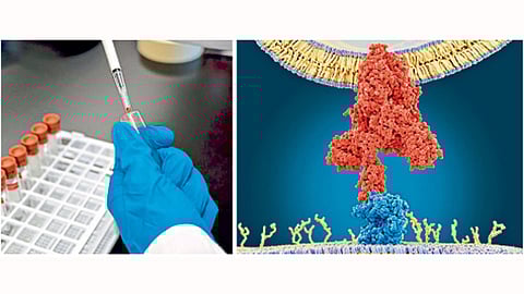 cholesterol test