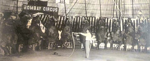  The Great Bombay Circus became hundred years old
