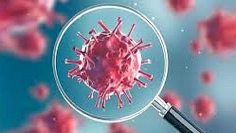 covid 19 patient found in ratnagiri  Most patients found Chiplun taluka
