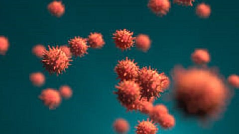 number of corona  patients disease in Ratnagiri district has doubled in 20 days