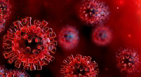 corona virus