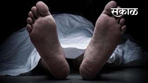 वडीलांचा जेवणाचा डबा देण्यासाठी मुलगा शेतात गेला..पण वाटेत काळाने दंश केला  