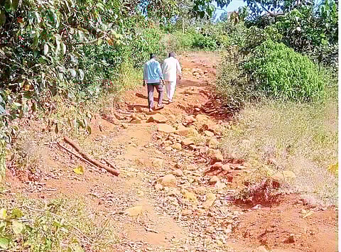 No road as there is no registration. Picture on Dhangarwada