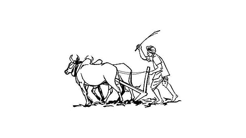 Insurance Company Ignore on farmer Insurance kokan marathi news