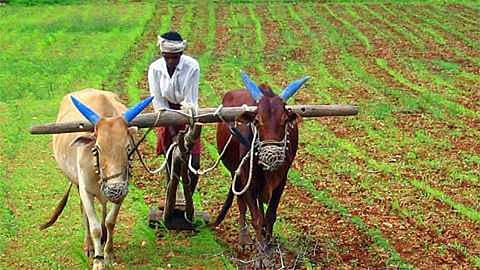 Shahuwadi farmers will protest in Mumbai