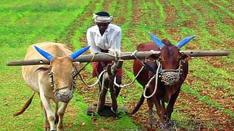 harat Bandh agitation called by the farmers unions did not get any response in the kolhapur city