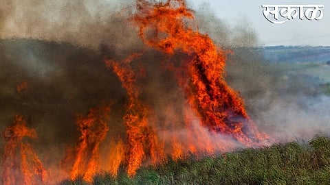 fire in cashew and mango farm in ratnagiri damages crops of rupees two lakh
